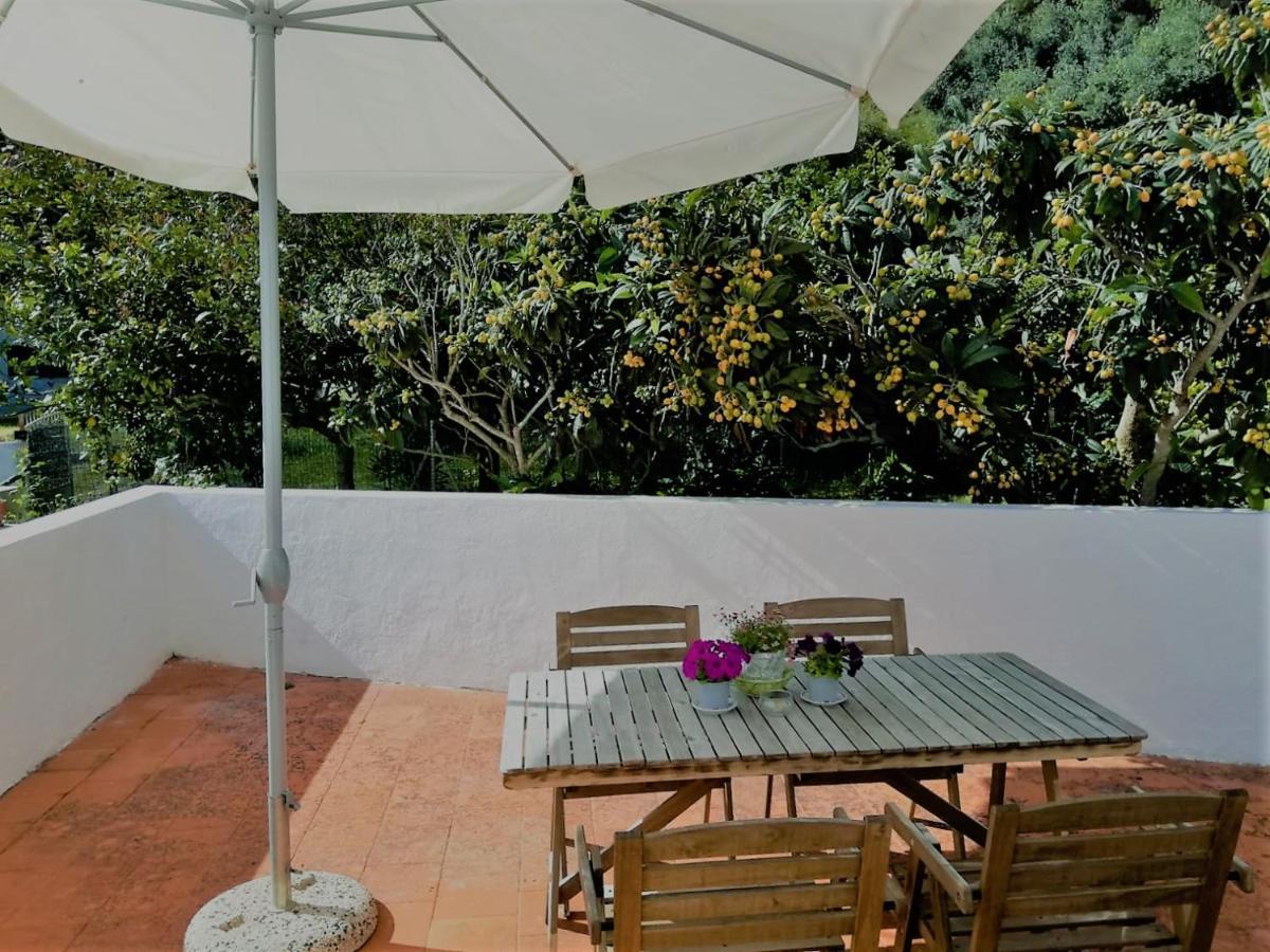 カルロフォルテ Cala Vinagra House Bed & Breakfast エクステリア 写真